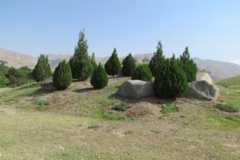 قطعه همیالیا