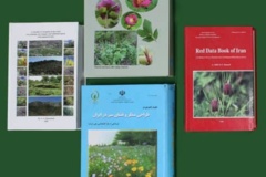 انتشارات بخش گیاه‌شناسی