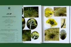 انتشارات بخش گیاه‌شناسی