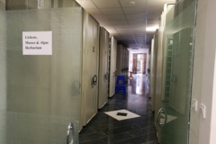 هرباریوم بی‌گل 