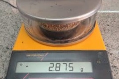 وزن کردن بذرها بوسیله ترازو با دقت سه رقم اعشار