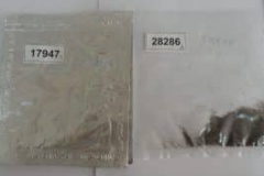 بسته بندی بذرها قبل از انتقال به سردخانه ها