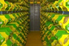 ظروف حاوی بذرهای بسته بندی شده در سردخانه قرار داده می شوند