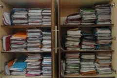 حفاظت از بذر