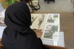 شناسایی گونه از طریق نمونه هر باریومی تهیه شده در محل جمع آوری