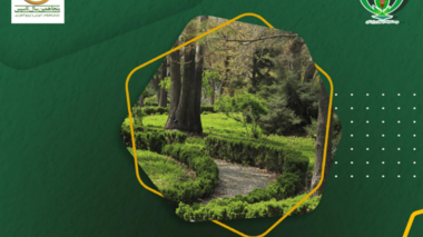 خبرنامه شماره ۵۳۶