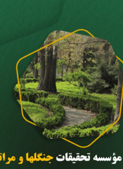 خبرنامه شماره ۵۳۶