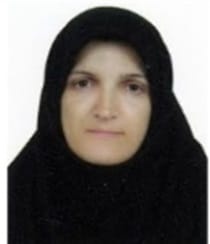 نوشین طغرائی