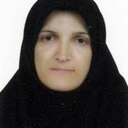 نوشین طغرایی