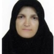 نوشین طغرائی