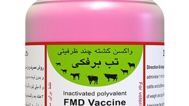 جداسازی ویروس تب برفکی SAT1 و تولید بذر واکسن در موسسه رازی