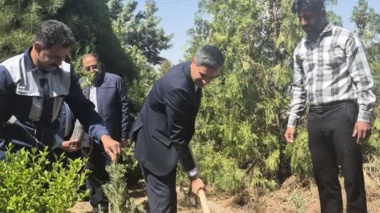 کاشت نهال در شعبه جنوب شرق موسسه رازی به مناسبت روز ارتش و به یاد شهدای جنگ رمضان