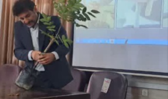 بررسی سازگاری و نحوه احداث باغات پکان در استان البرز و گیلان