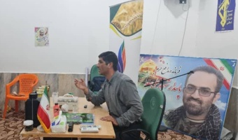 مدیریت شیمیایی اصولی؛ راهکاری مؤثر برای افزایش عملکرد ذرت و مهار علف‌های هرز