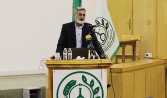 افزایش سهم ارقام جدید گندم در طبقه گواهی شده از ۳ درصد به ۵۷ درصد