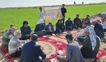 دستیابی به پتانسیل عملکرد گندم