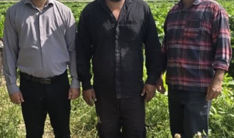پایش نیترات و عناصر سنگین در مزارع پیاز و سیب‌زمینی شهرستان اندیمشک