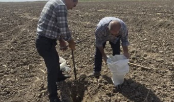 نمونه‌برداری در قالب طرح پایش خاک‌های کشور در شهرستان کرخه