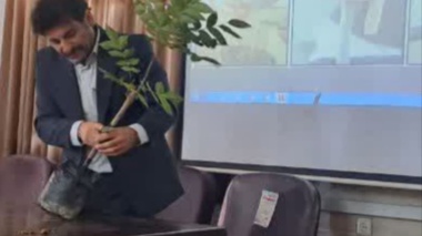 بررسی سازگاری و نحوه احداث باغات پکان در استان البرز و گیلان