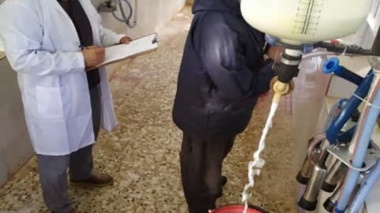 بررسی راهکارهای علمی و عملی اصلاح نژاد گاومیش در خوزستان
