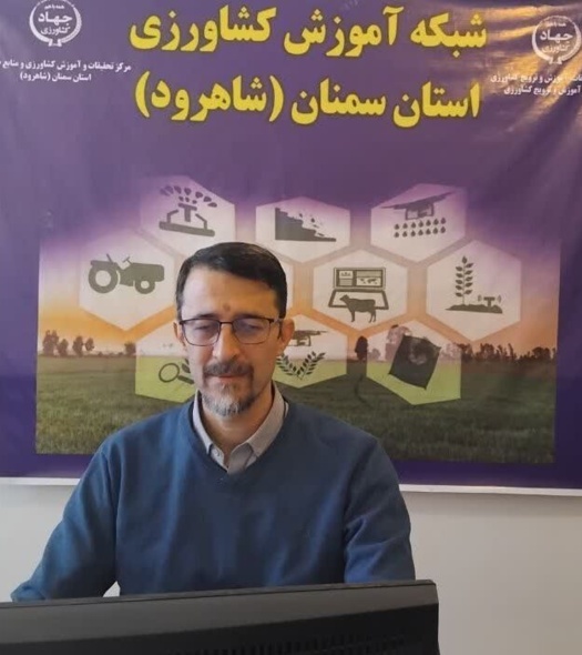 تأکید بر نقش کیفیت گندم نانوایی در اقتصاد و سلامت جامعه