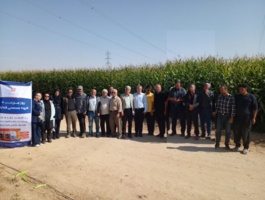 برگزاری روز مزرعه ارقام ذرت در مرکز سمنان (شاهرود)