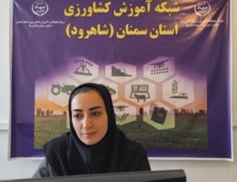 تبیین اهمیت آزمون خاک و اصول نمونه‌برداری صحیح برای تولید بهینه محصولات کشاورزی