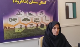 بررسی ساختار گل و میوه در تیره کلم با تمرکز بر ریختشناسی و فرمول گل