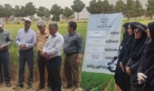 نقش ارقام جدید غلات در کاهش خلاء عملکرد و دستیابی به تولید پایدار