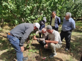 کارگاه آموزشی پیوند و روش‌های نوین پیوند زنی