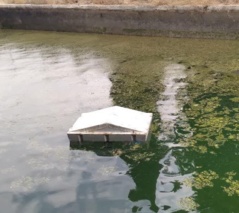 نصب و راه‌اندازی دستگاه سونیک‌وایزر در ایستگاه تحقیقات کشاورزی میامی