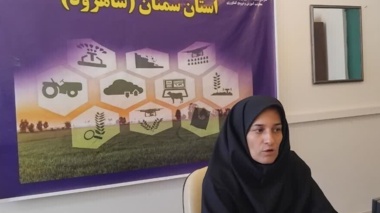 بررسی ساختار گل و میوه در تیره کلم با تمرکز بر ریخت‌شناسی و فرمول گل