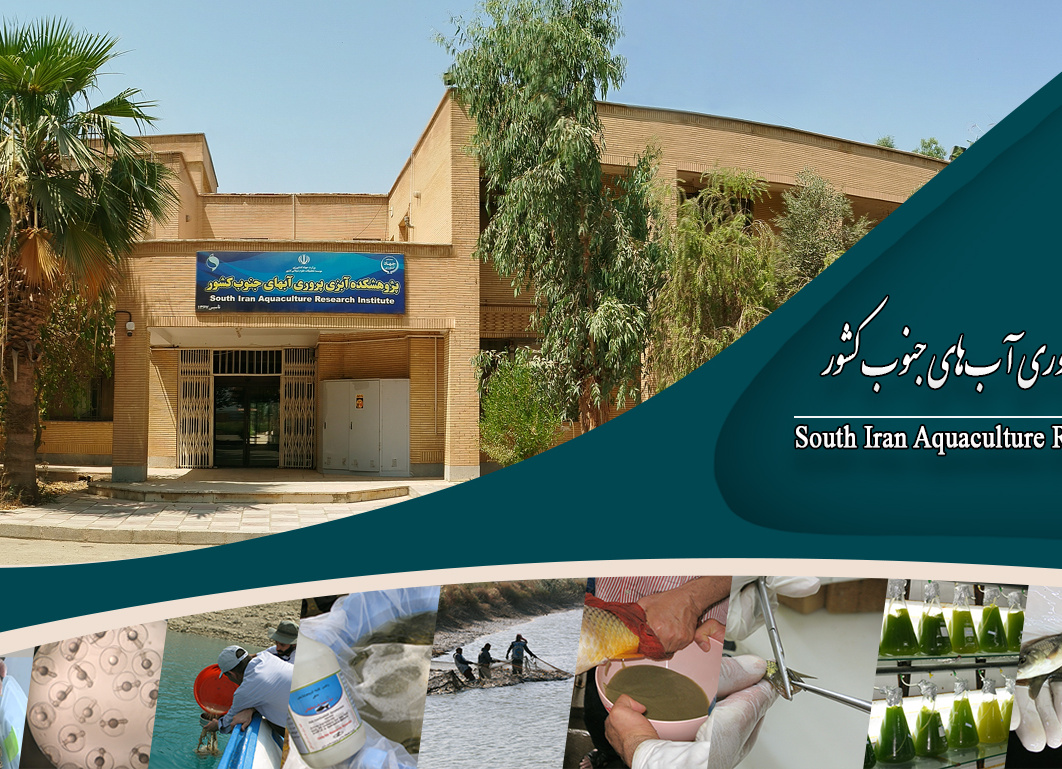 اسلایدر