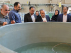 بازدید غلامرضا گل محمدی، معاون وزیر جهاد کشاورزی و رئیس سازمان تحقیقات، آموزش و ترویج کشاورزی از پژوهشکده