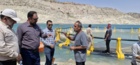 آغاز ذخیره‌سازی بچه‌ماهی کپور در قفس‌های مستقر در دریاچه سد مارون چکیده