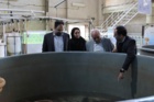 محمد صدیق مرتضوی، رئیس مؤسسه تحقیقات علوم شیلاتی کشور از پژوهشکده آبزی‌پروری آب‌های جنوب کشور بازدید کرد.