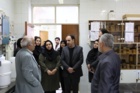 محمد صدیق مرتضوی، رئیس مؤسسه تحقیقات علوم شیلاتی کشور از پژوهشکده آبزی‌پروری آب‌های جنوب کشور بازدید کرد.