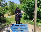 بازدید ترویجی اعضای هیات علمی بخش آبزی پروری پژوهشکده از مزرعه پرورش متراکم کپور معمولی