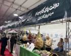 یکپارچگی در نمایش؛ حضور هماهنگ ۱۷ مجموعه جهاد کشاورزی خوزستان در نمایشگاه دستاوردهای دولت