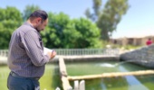 بازدید ترویجی اعضای هیات علمی بخش آبزی پروری پژوهشکده از مزرعه پرورش متراکم کپور معمولی