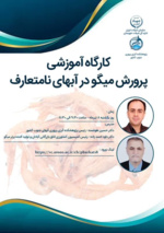 تدریس در کارگاه آموزشی پرورش میگو در آب‌های نامتعارف