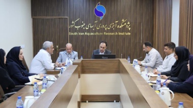 همکاری پژوهشکده، شیلات و دامپزشکی برای اجرای طرح هوش مصنوعی در مزارع میگوی خوزستان