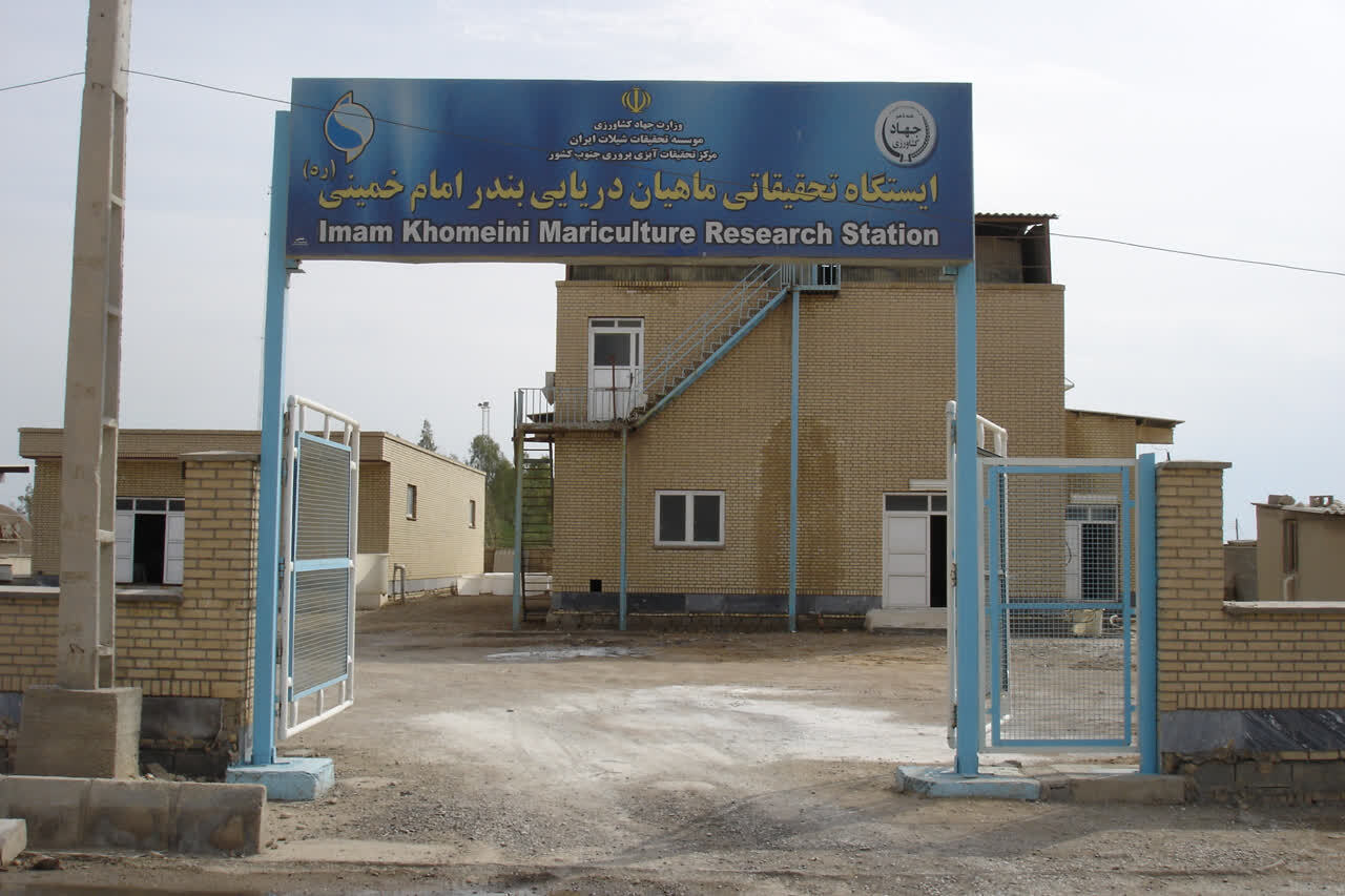 ایستگاه تحقیقات ماهیان دریایی بندر امام خمینی  (ره)