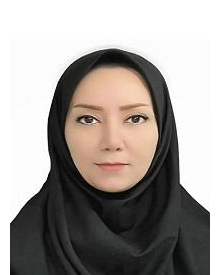 خانم دکتر مینا آهنگرزاده