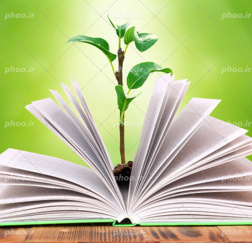 انتشارات مرکز