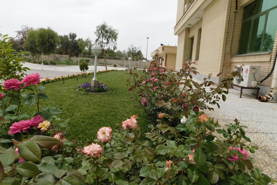فضای سبز مرکز