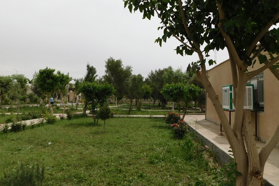 فضای سبز مرکز