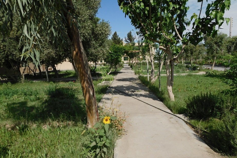 فضای سبز مرکز