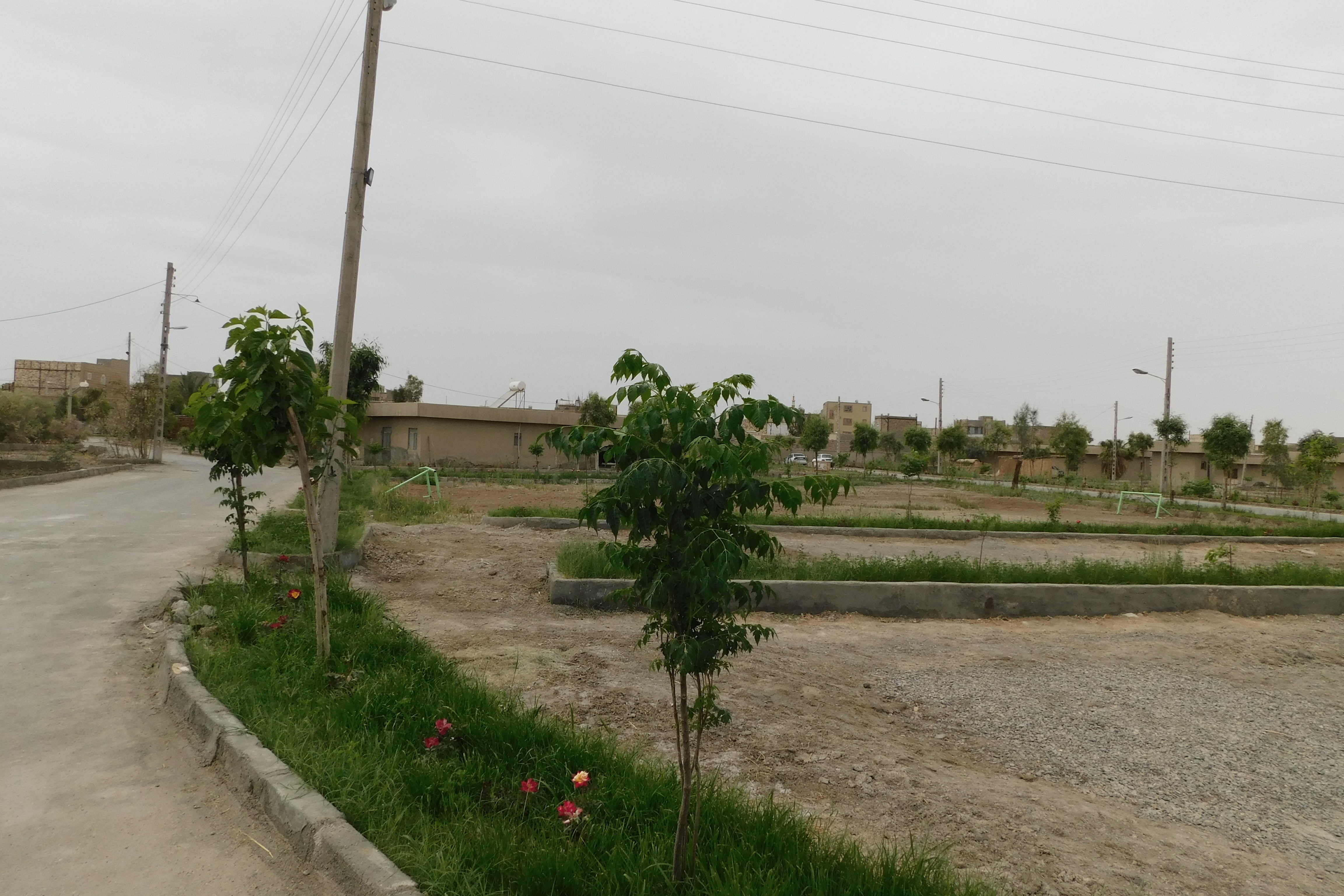 فضای سبز مرکز