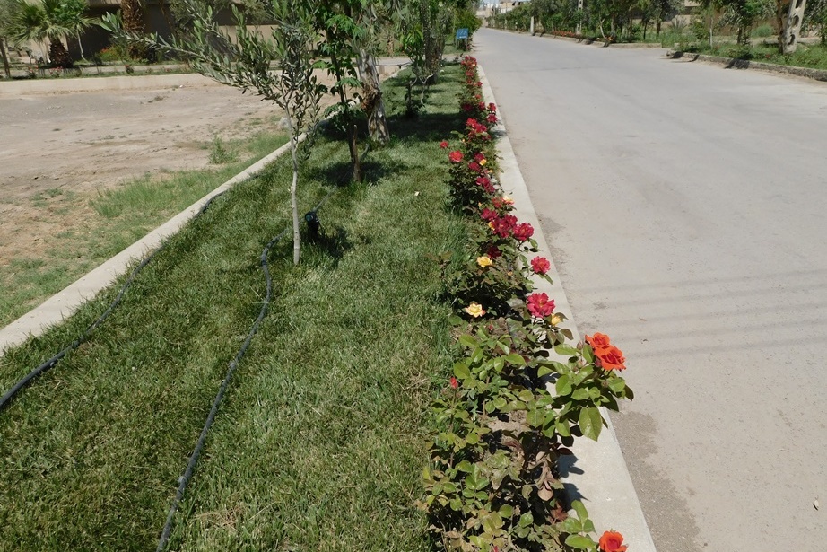 فضای سبز مرکز